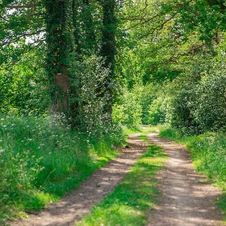 Vakantiepark Westerwolde Pagedal Stadskanaal Exteriör bild